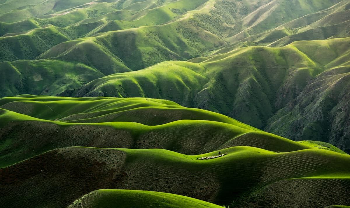 Rolling green hills